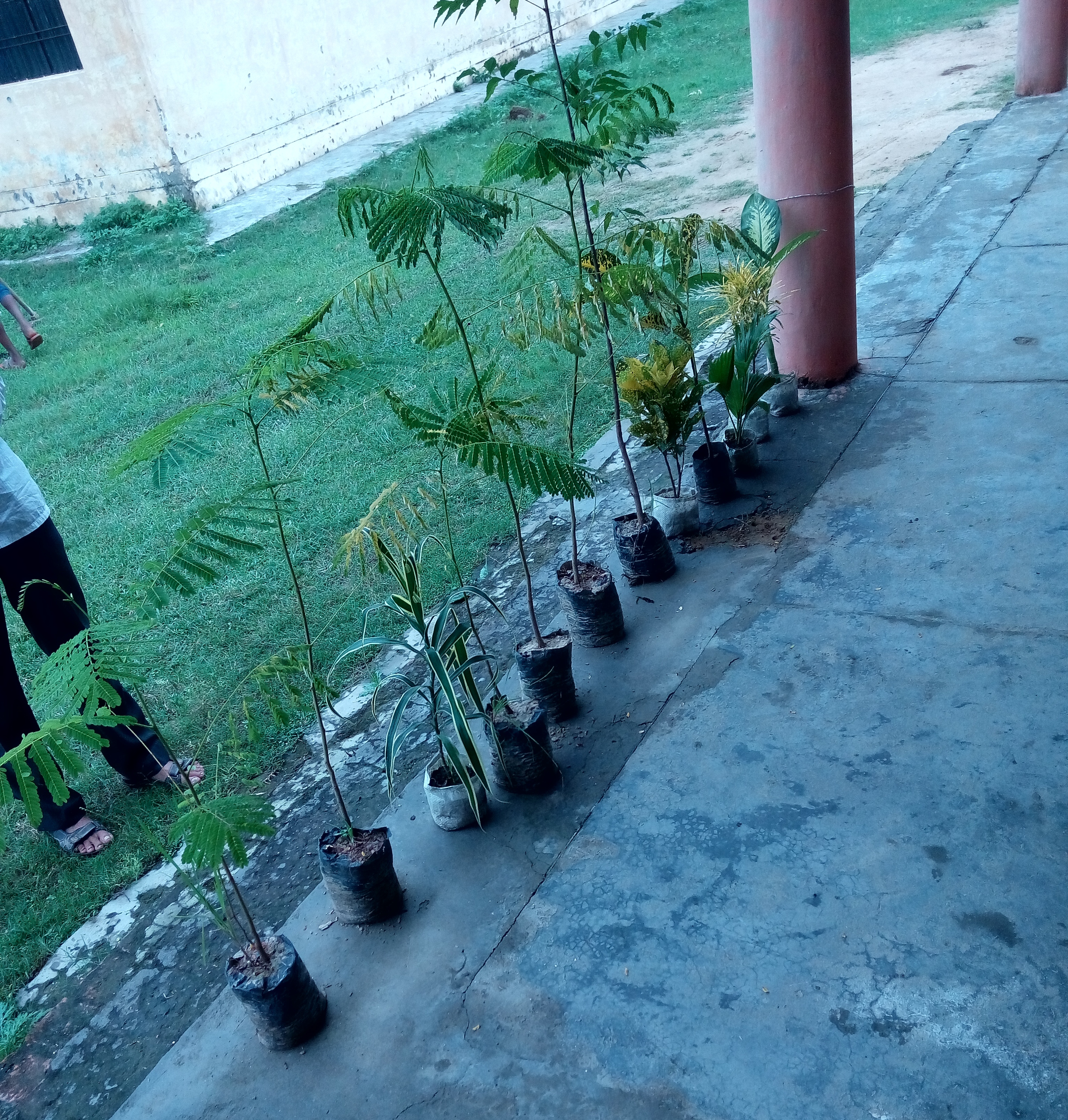 School campus